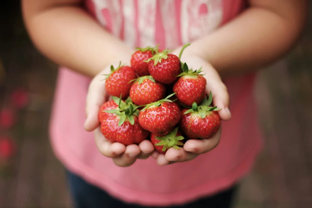 Simple Pleasures: Why I Fell in Love with Country Living 2 fresh strawberries country life simple pleasures